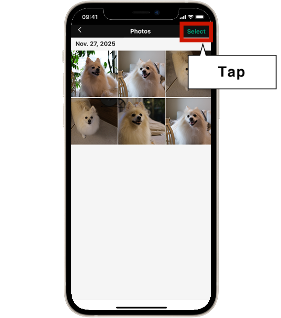 2) Selecciona la imagen que deseas imprimir de la galería.