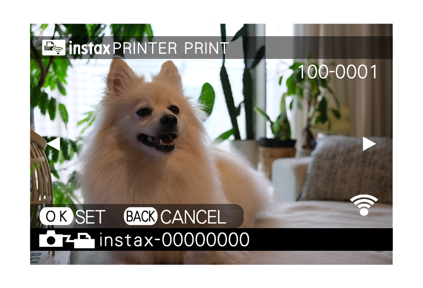 4) Selecciona la imagen que deseas imprimir y pulsa el botón MENU/OK.