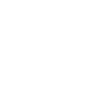 Selfie Mode