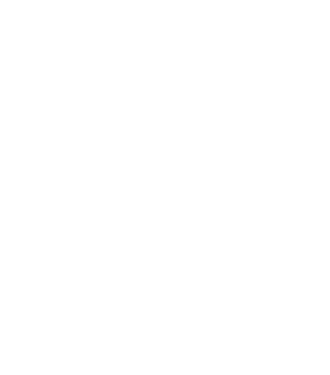 Modo selfi